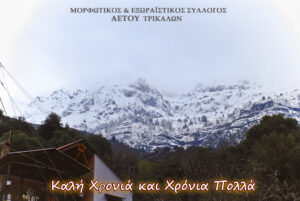 kali_xronia